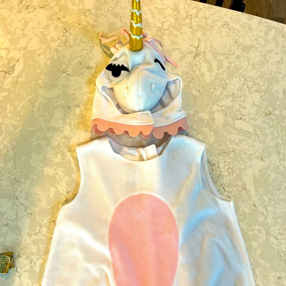 Pottery Barn Kids Unicorn costume